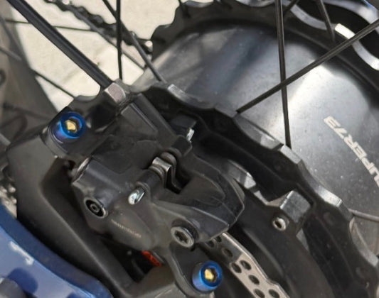 Caliper bolts